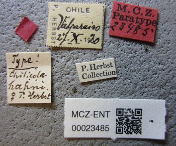 Media type: image;   Entomology 23485 Aspect: labels